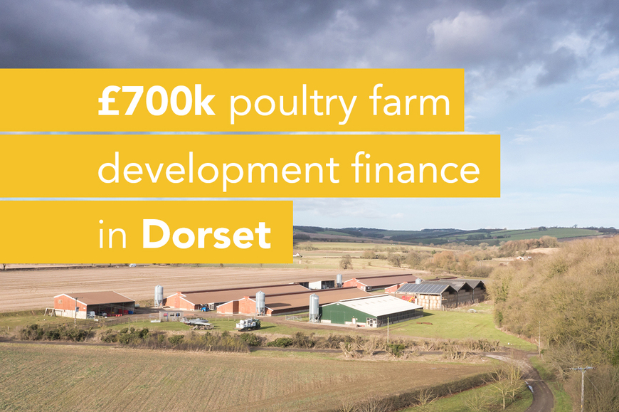 Poultry farm development in Dorset